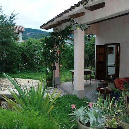 Bed and Breakfast La Casa Rosada à Copan Ruinas Extérieur photo