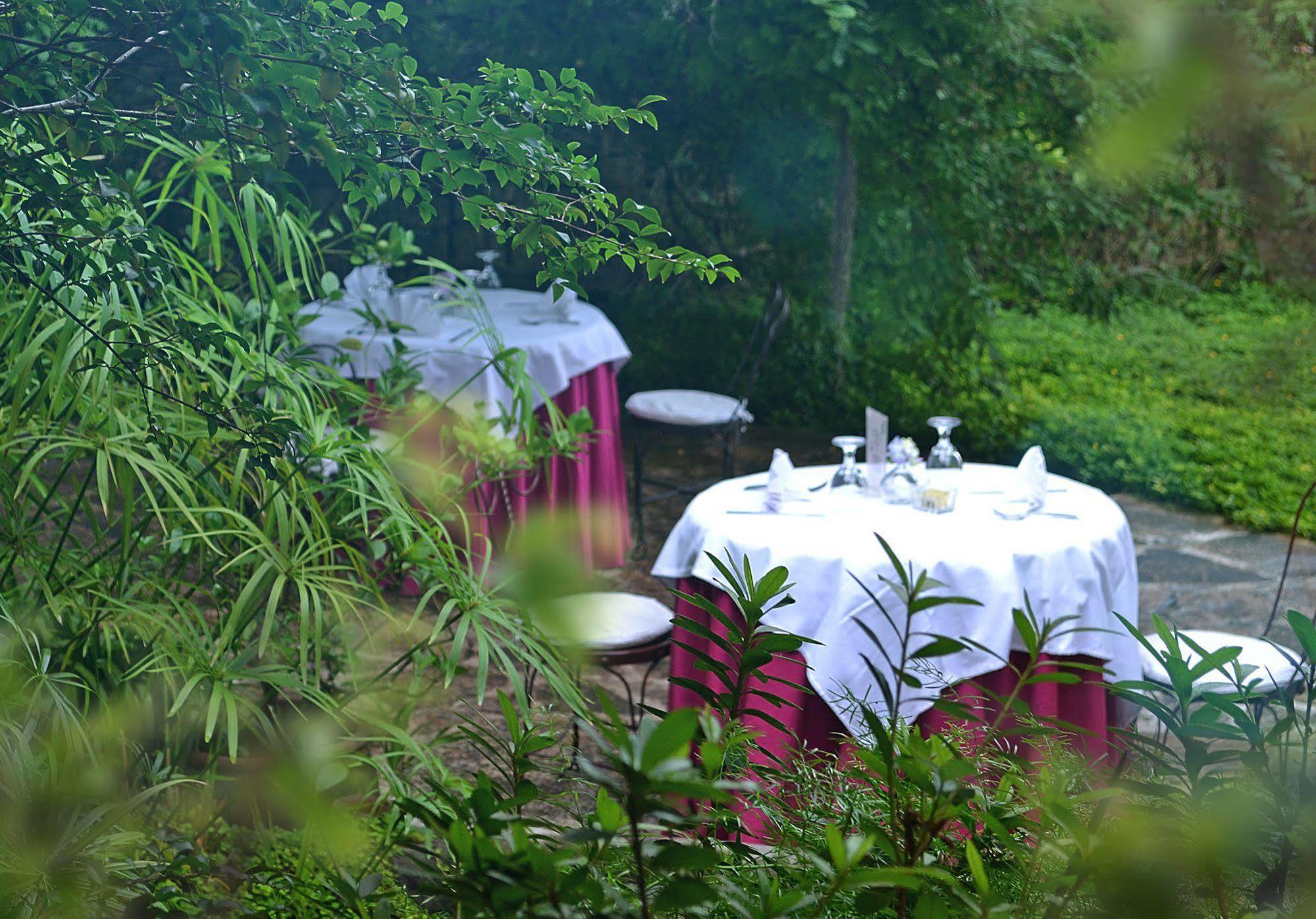 Bed and Breakfast La Casa Rosada à Copan Ruinas Extérieur photo